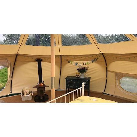 Glamping Tält Hotel Laholm Eksteriør billede